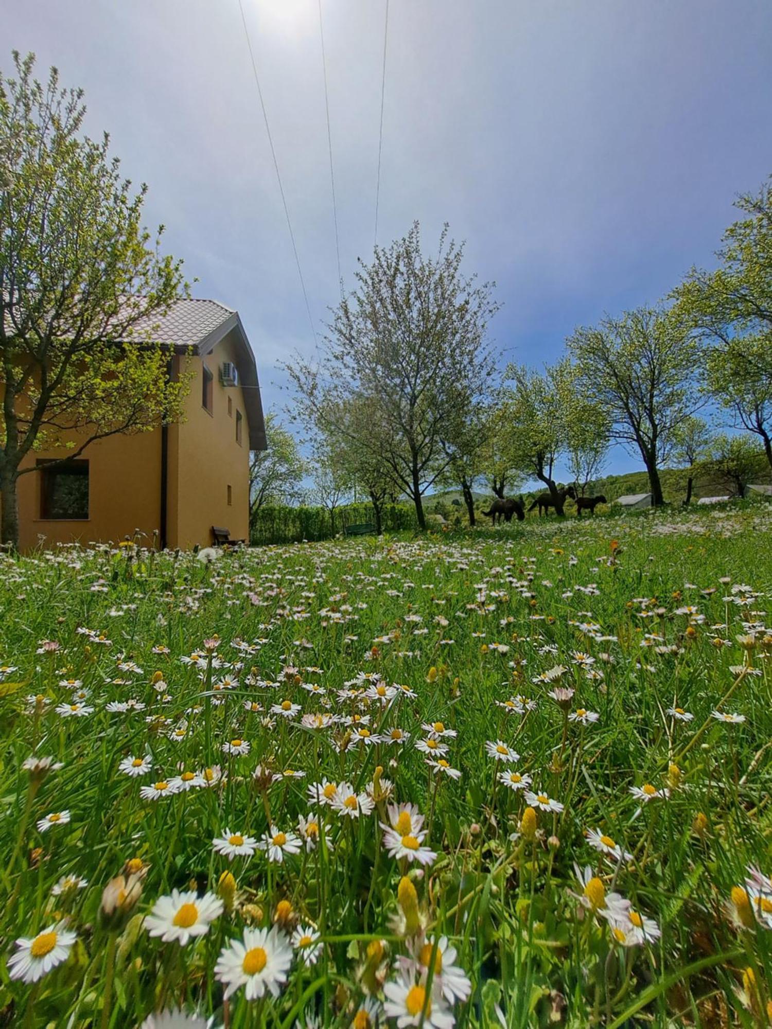 St George B&B Korenica Εξωτερικό φωτογραφία